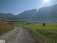 2019-07-06 P. Borghese e Porche 016